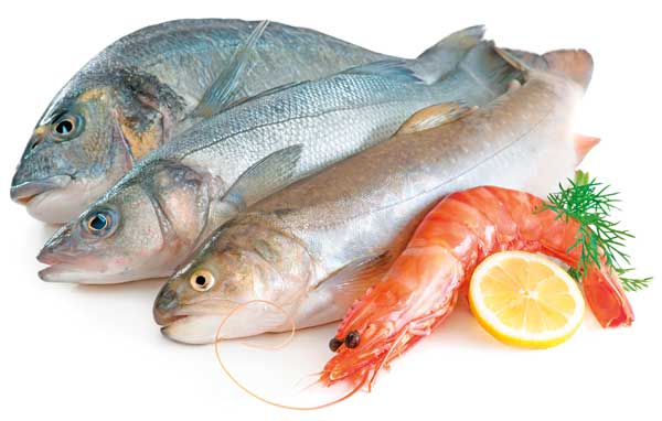 High demand and price of fish products