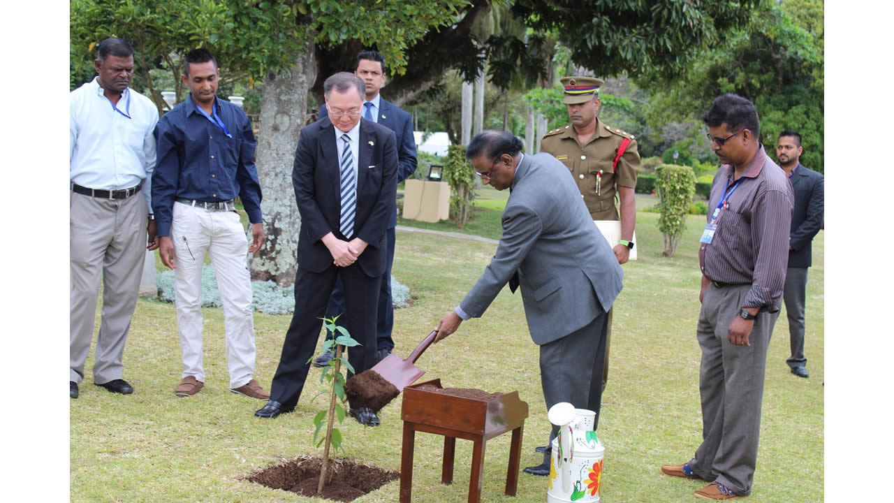 At the State House garden, the first Japanese Cherry Blossom tree, symbol of friendship with Japan planted in Mauritius by the acting president, Barlen Vyapoory. 