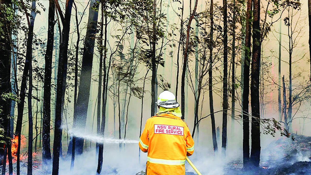 A firefighter manages a controlled burn as auhtorities took advantage of relatively benign conditions earlier this week to consolidate containment lines around more than 110 blazes, state Rural Fire Service Commissioner Shane Fitzsimmons said.