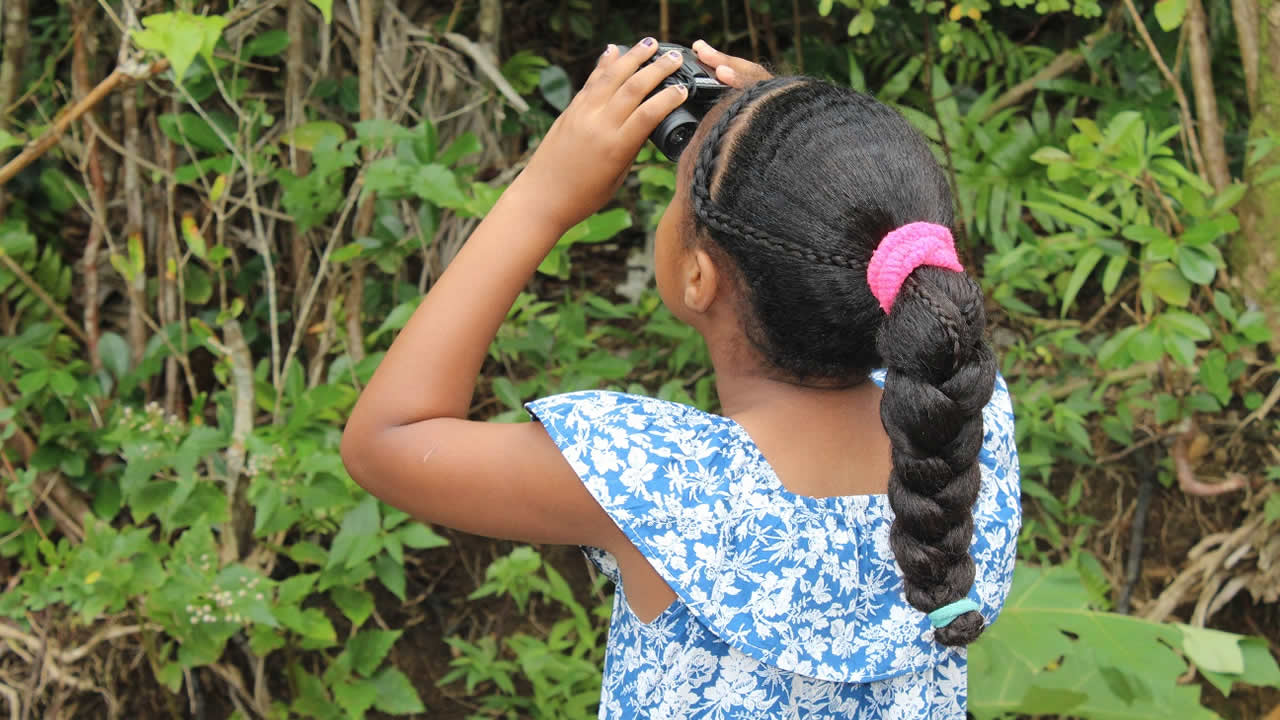 À Ebony Forest les enfants apprennent à observer la nature.
