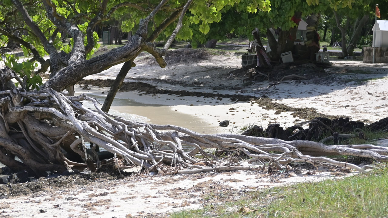 Certaines plages, comme celles de Mon Choisy, de Poste-Lafayette et de Palmar, sont en train de subir le dérèglement climatique de plein fouet.