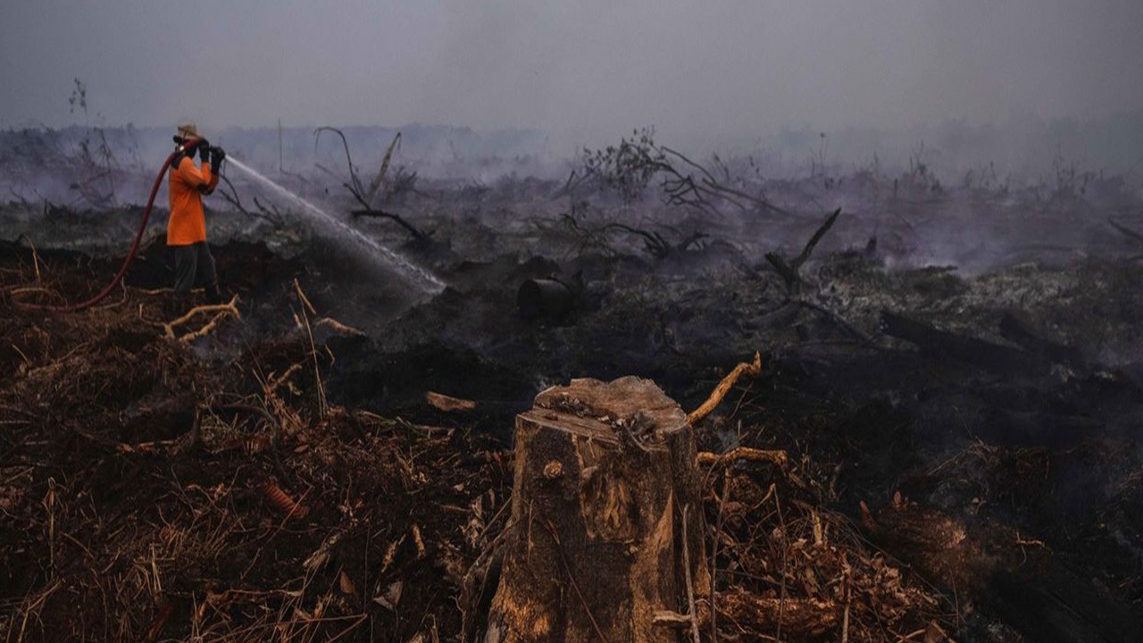 Les incendies de forêts qui font rage sur l’île de Sumatra, comme à Bornéo, dégagent un vaste nuage de fumée toxique